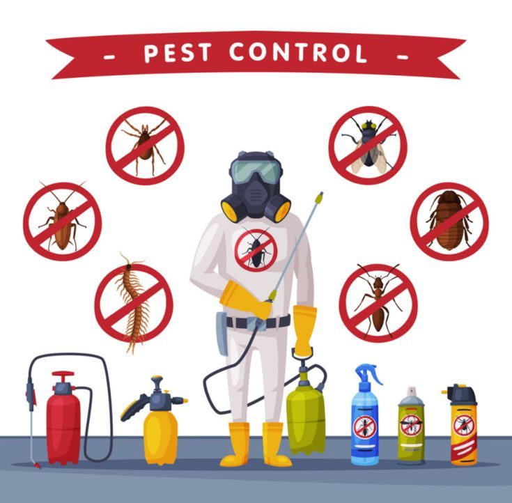 Professional Pest Control Services in Qatar, UAE & Saudi Arabia